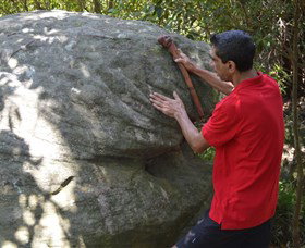 Kadoo Tours - Accommodation Gold Coast 1