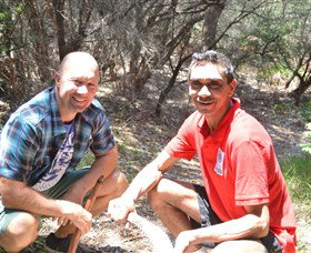 Kadoo Tours - Accommodation Gold Coast 2