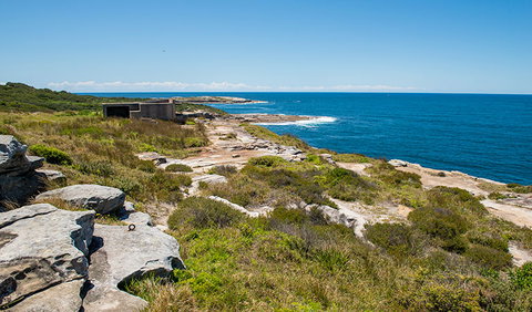 Henry Head Walking Track - 1 Gold Coast 1