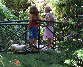 EG Waterhouse National Camellia Garden - Accommodation Gold Coast 0