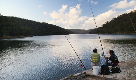 D'Albora Marinas At Akuna Bay - Accommodation Gold Coast 3