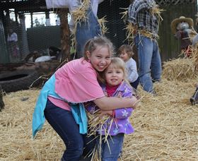 Golden Ridge Animal Farm - Accommodation Gold Coast 2