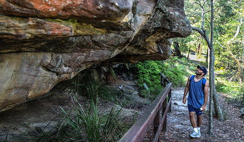 Aboriginal Heritage Walk - Accommodation Gold Coast 0