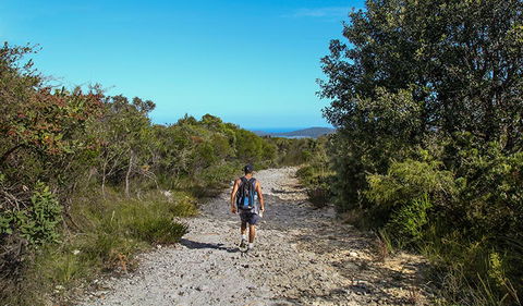 Aboriginal Heritage Walk - Accommodation Gold Coast 3