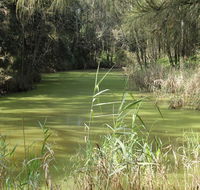 Second Ponds Creek walk - Accommodation Gold Coast