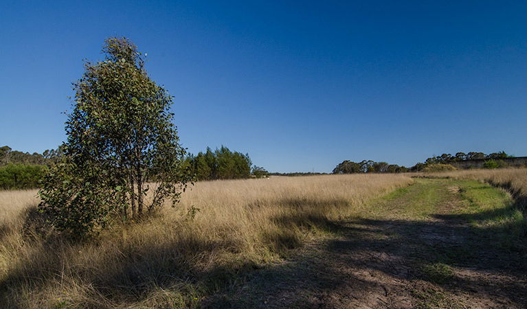 Oakville NSW Gold Coast 4U