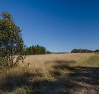 Scheyville horse riding trails - Accommodation Gold Coast