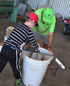 Canoelands Orchard - Accommodation Gold Coast 2