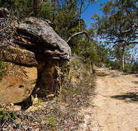 Canoelands Ridge walking track - Accommodation Gold Coast