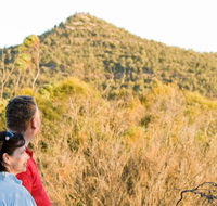 Piles Creek loop - Accommodation Gold Coast