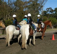 Darkes Forest Riding Ranch - Accommodation Gold Coast