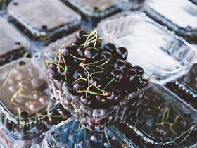 Adelaide Farmers' Market Showground - Accommodation Gold Coast 1