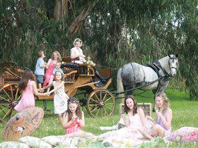 Classic Carriage Drives - 1 Gold Coast 1
