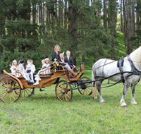 Classic Carriage Drives - Accommodation Gold Coast