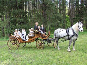 Classic Carriage Drives - 1 Gold Coast 0