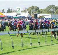 Morphettville Racecourse - Accommodation Gold Coast