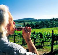 Ashton Hills Vineyard - Accommodation Gold Coast