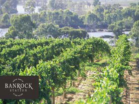 Banrock Station Wine And Wetland Centre - Accommodation Gold Coast 0