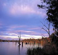 Loch Luna Game Reserve and Moorook Game Reserve - Accommodation Gold Coast