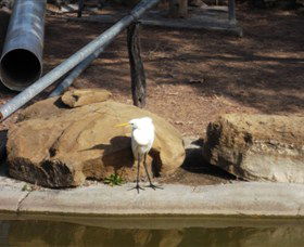 Ram Park - Accommodation Gold Coast 3