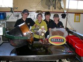 Melba's Chocolate And Confectionery Factory - Accommodation Gold Coast 1
