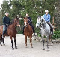 Academy of Dressage - Accommodation Gold Coast