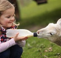 Hahndorf Farm Barn - Accommodation Gold Coast