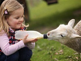 Hahndorf Farm Barn - Accommodation Gold Coast 0