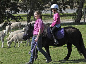 Hahndorf Farm Barn - Accommodation Gold Coast 2