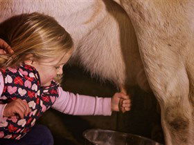 Hahndorf Farm Barn - Accommodation Gold Coast 1