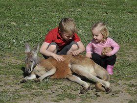 Hahndorf Farm Barn - Accommodation Gold Coast 3