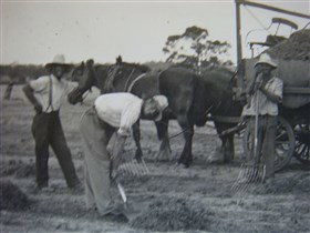 Platform 1 Heritage Farm Railway - Accommodation Gold Coast 3