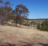 Onkaparinga River National Park - Accommodation Gold Coast