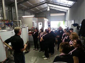Prancing Pony Brewery - Accommodation Gold Coast 2