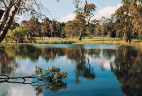 Echunga Golf Club Incorporated - Accommodation Gold Coast 1