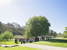 Howard Vineyard - Accommodation Gold Coast 1