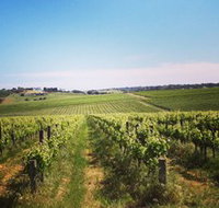 Adelaide Winemakers - Accommodation Gold Coast