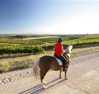 Kidman Trail - Accommodation Gold Coast