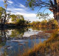 Murray River National Park - Accommodation Gold Coast