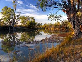 Murray River National Park - Accommodation Gold Coast 0