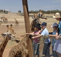 Monarto Open Range Zoo - Gold Coast 4U