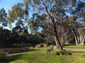 Mount Compass And District Produce And Tourist Trail - 1 Gold Coast 3