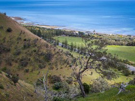 Lady Bay Beach - Accommodation Gold Coast 1