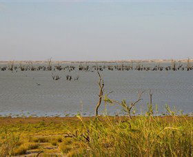 Lake Victoria - Gold Coast 4U 0
