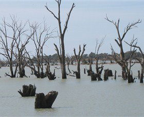 Lake Victoria - Gold Coast 4U 4