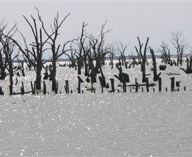 Lake Victoria - Gold Coast 4U 5