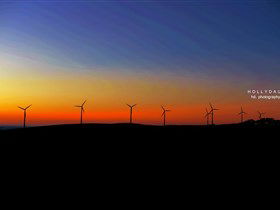 Cape Jervis SA Accommodation Gold Coast