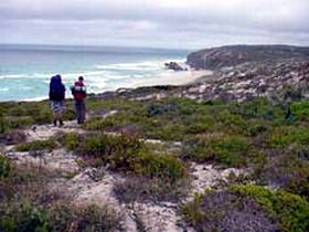 Seal Bay SA 1 Gold Coast