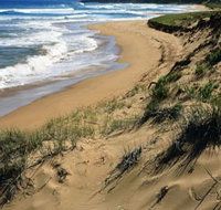 Newland Head Conservation Park - Accommodation Gold Coast