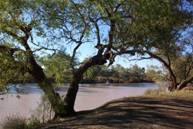 Charleville - Bakers Bend Warrego River Fishing Spot - 1 Gold Coast 1